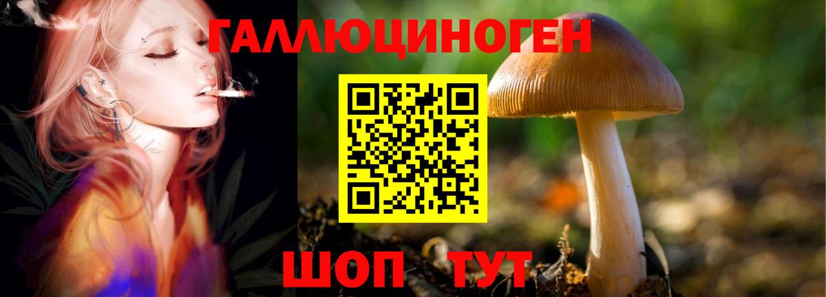 Миасс  Псилоцибиновые грибы GOLDEN TEACHER  Вход с VPN 